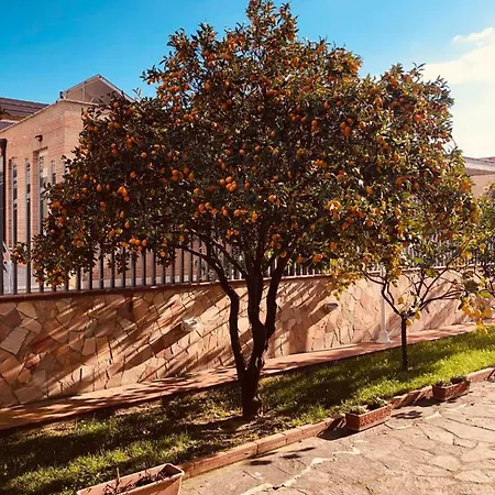 Tatil Evi Boccy Brothers Zinnowitz