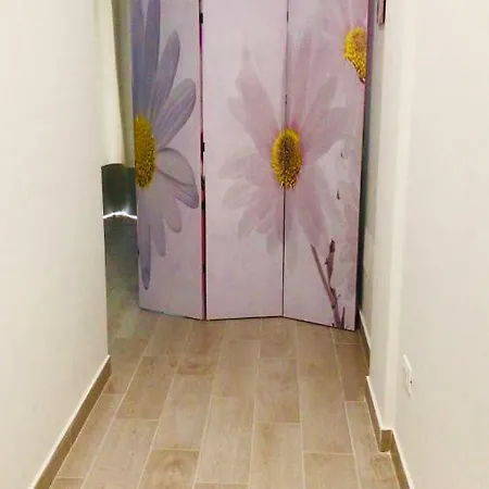 Boccy Brothers Formia