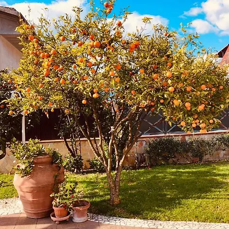 Holiday home Boccy Brothers Formia