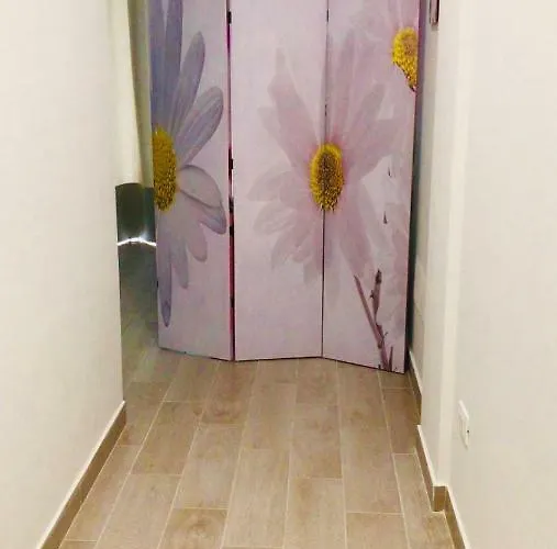 Boccy Brothers Формия